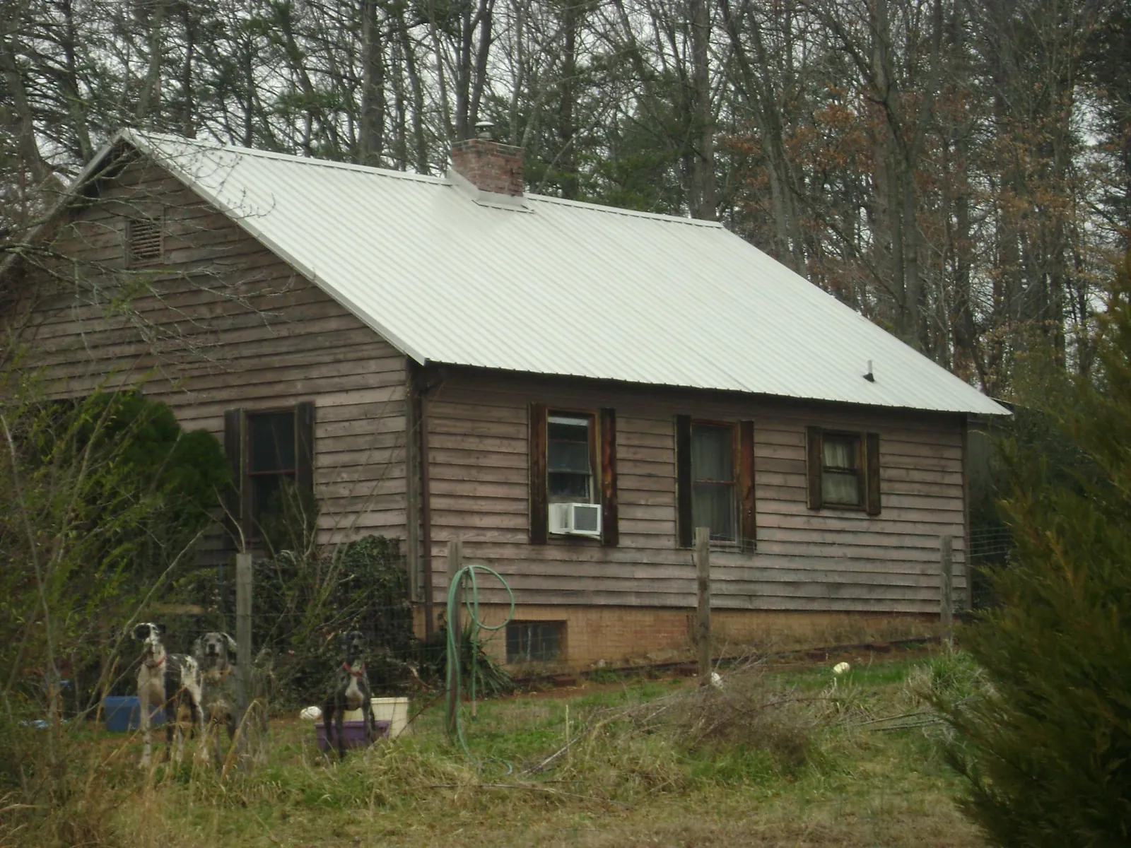 White metal roof on an old wood sided farmhouse, from a Asphalt Shingle Roof Repair job in Waynetown